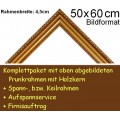 Bilderrahmen S12 gold F50x60cm