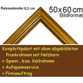 Bilderrahmen S15 Gold F50x60cm